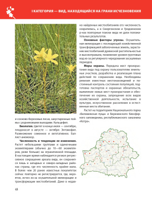 Красная книга Республики Беларусь. Растения. 5-е издание.